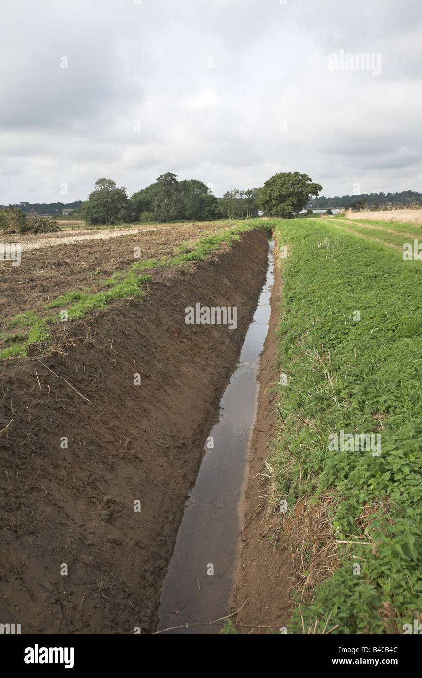Freshly maintained drainage ditch Sutton, Suffolk, England Stock Photo