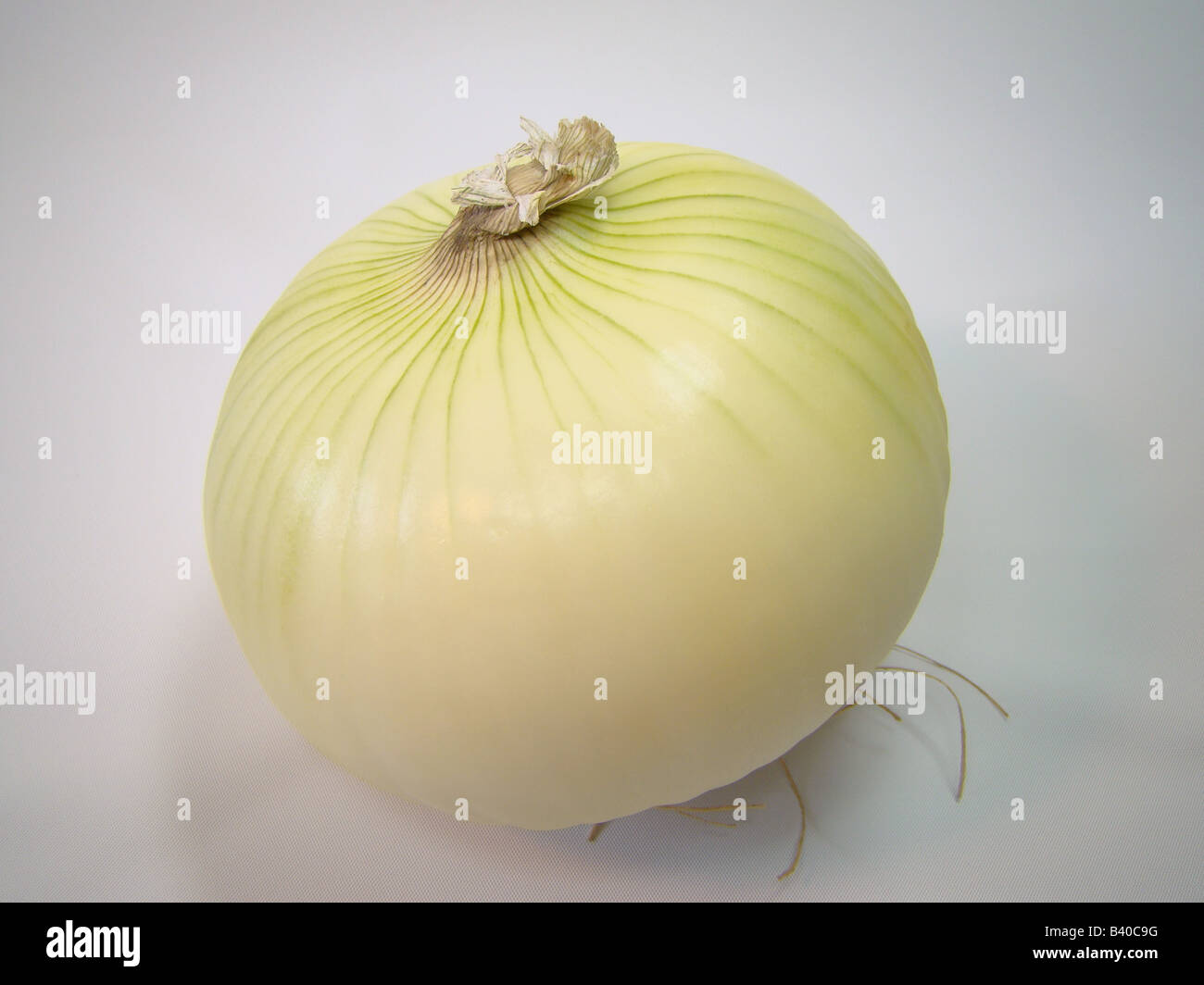 Yellow onion on white background Stock Photo - Alamy