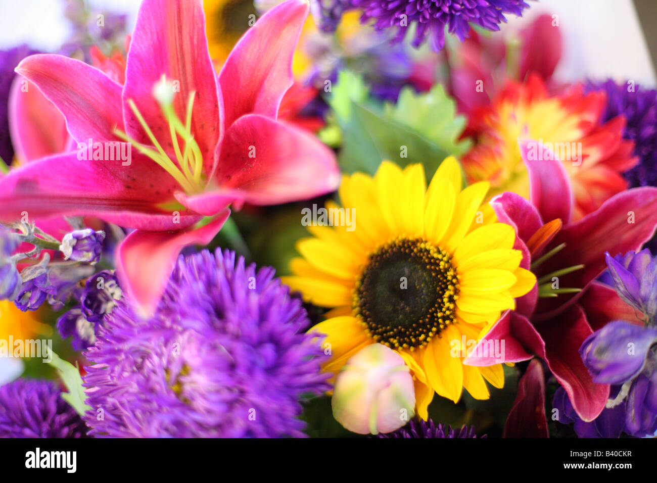 Bouquets of colorful flowers selective focus Stock Photo