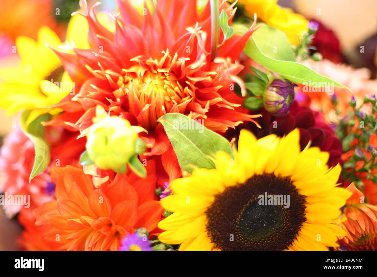 Bouquets of colorful flowers selective focus Stock Photo