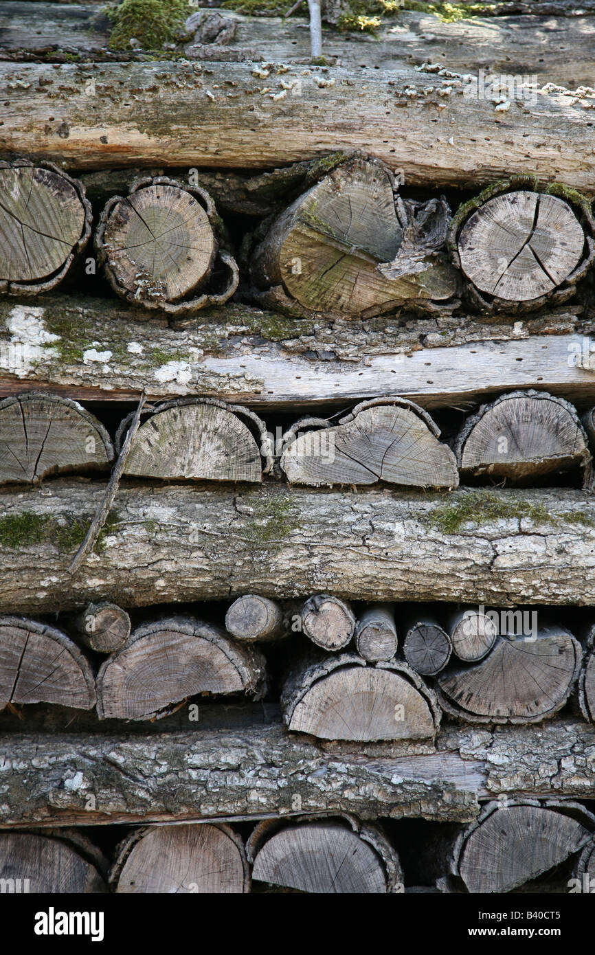 A large pile of logs stacked up neatly ready to use for fire wood Stock Photo