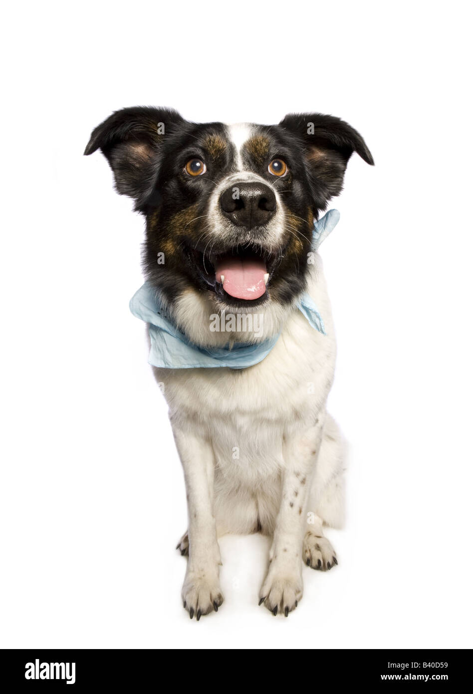 Bandana isolated hires stock photography and images Alamy