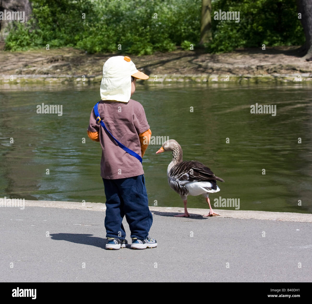 goose with hat