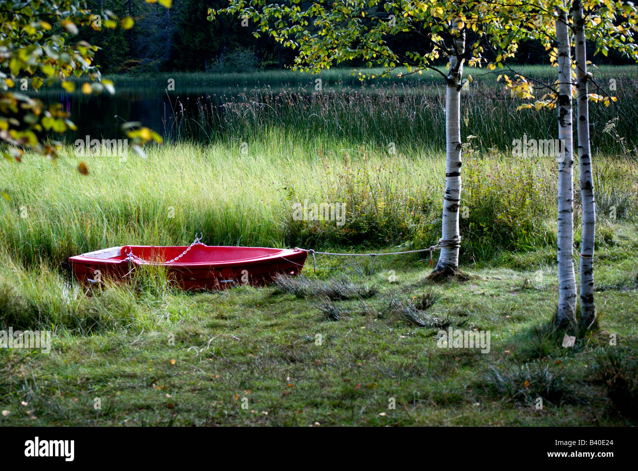 Red boat sitting amoung the reeds at Etang de la Gruere, near Saignelegier Switzerland Stock Photo