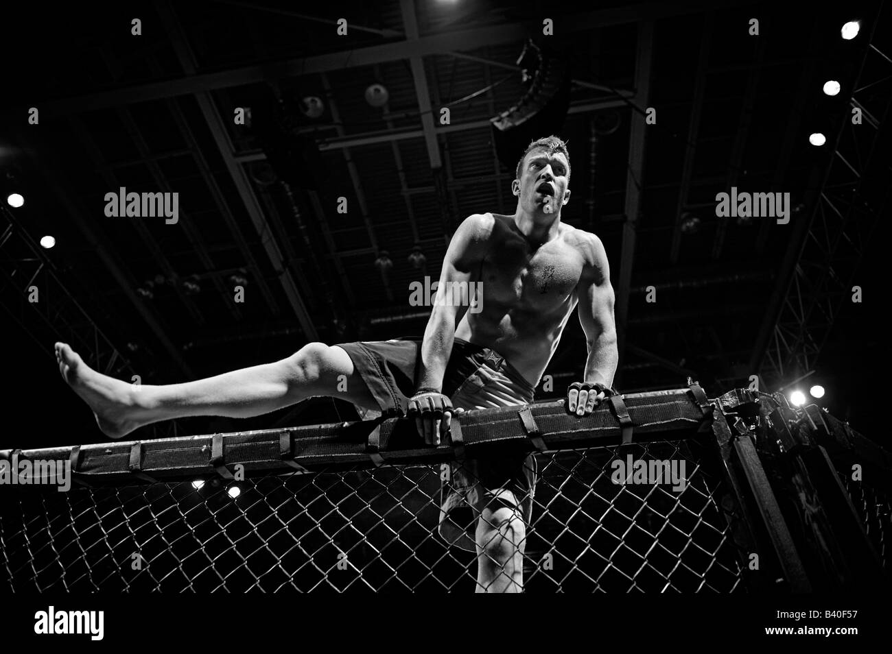 Winning Cage fighter leaps on to the top of Octagon (Cage) Stock Photo