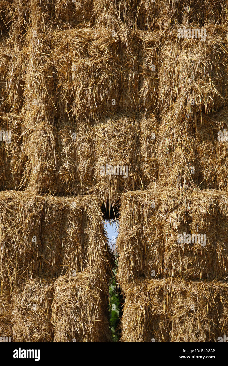 bale of straw Stock Photo Alamy