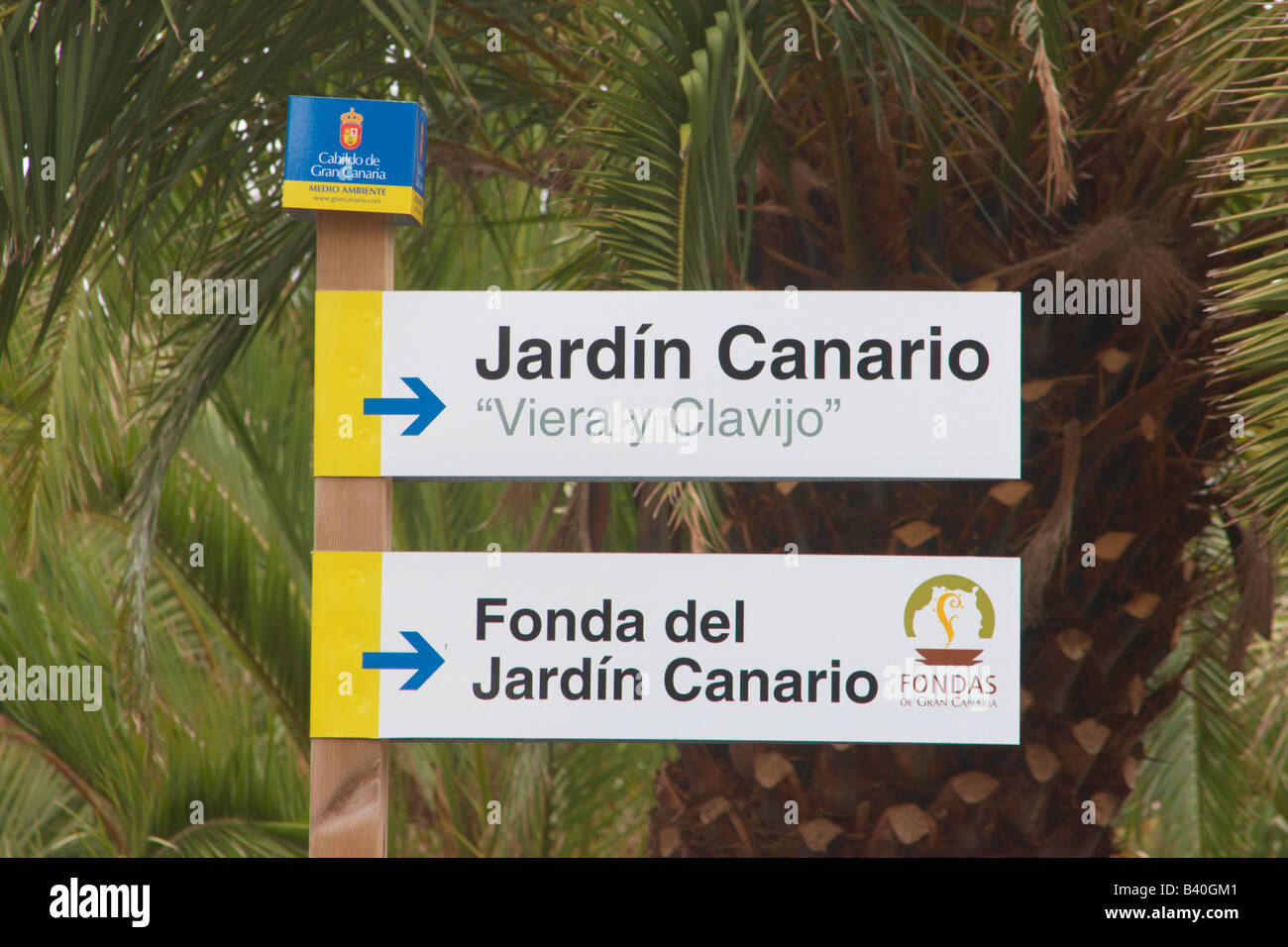 Jardin Canario Viera y Clavijo near Las Palmas on Gran Canaria in The Canary Islands Stock Photo