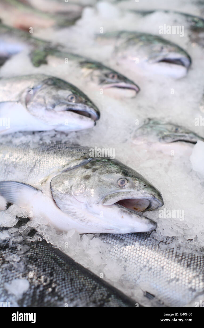 Seattle fish market hires stock photography and images Alamy