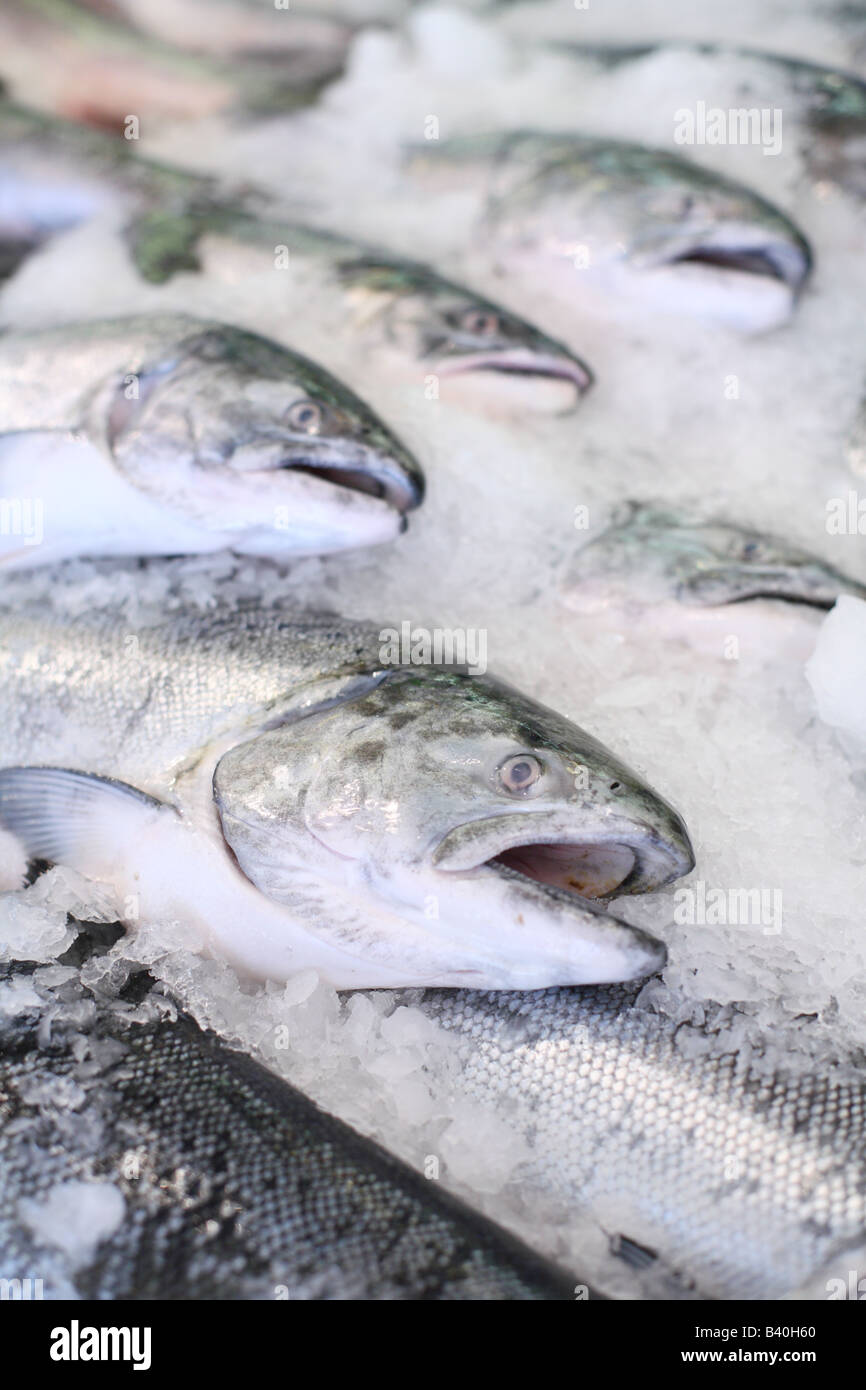 Fresh Fish on Ice at Pike Place Market Seattle Washington Stock Photo
