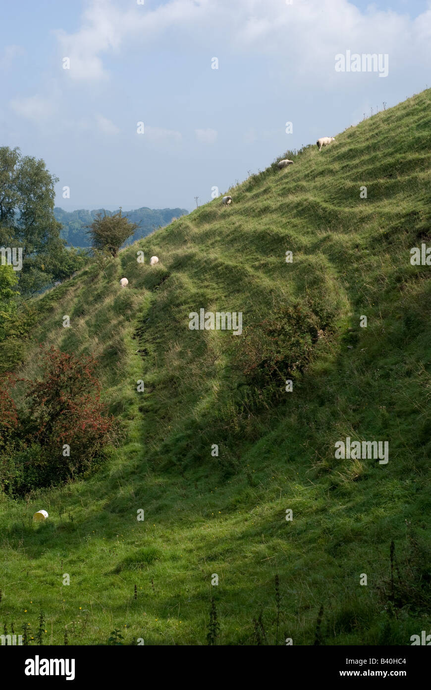 Sheep formed terraces on steep grazing land in Derbyshire, UK Stock