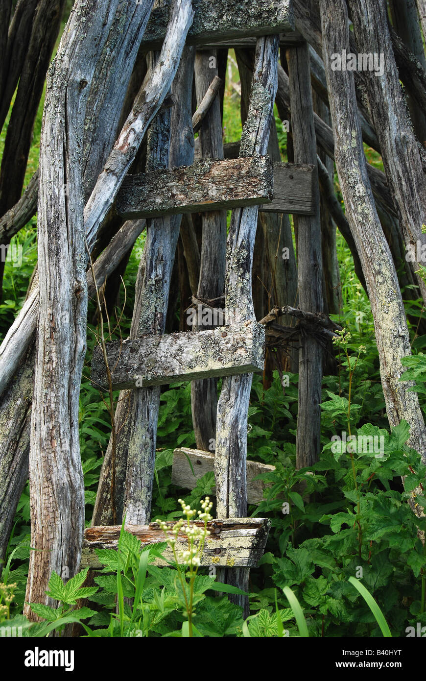 Hay drying rack, Laiseliden, Vasterbottenslan, Swedish Lapland, Sweden