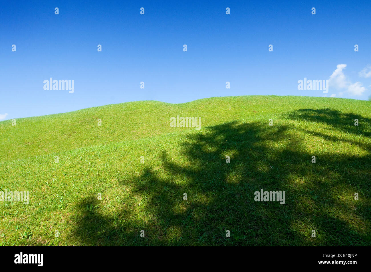 the green hill Stock Photo