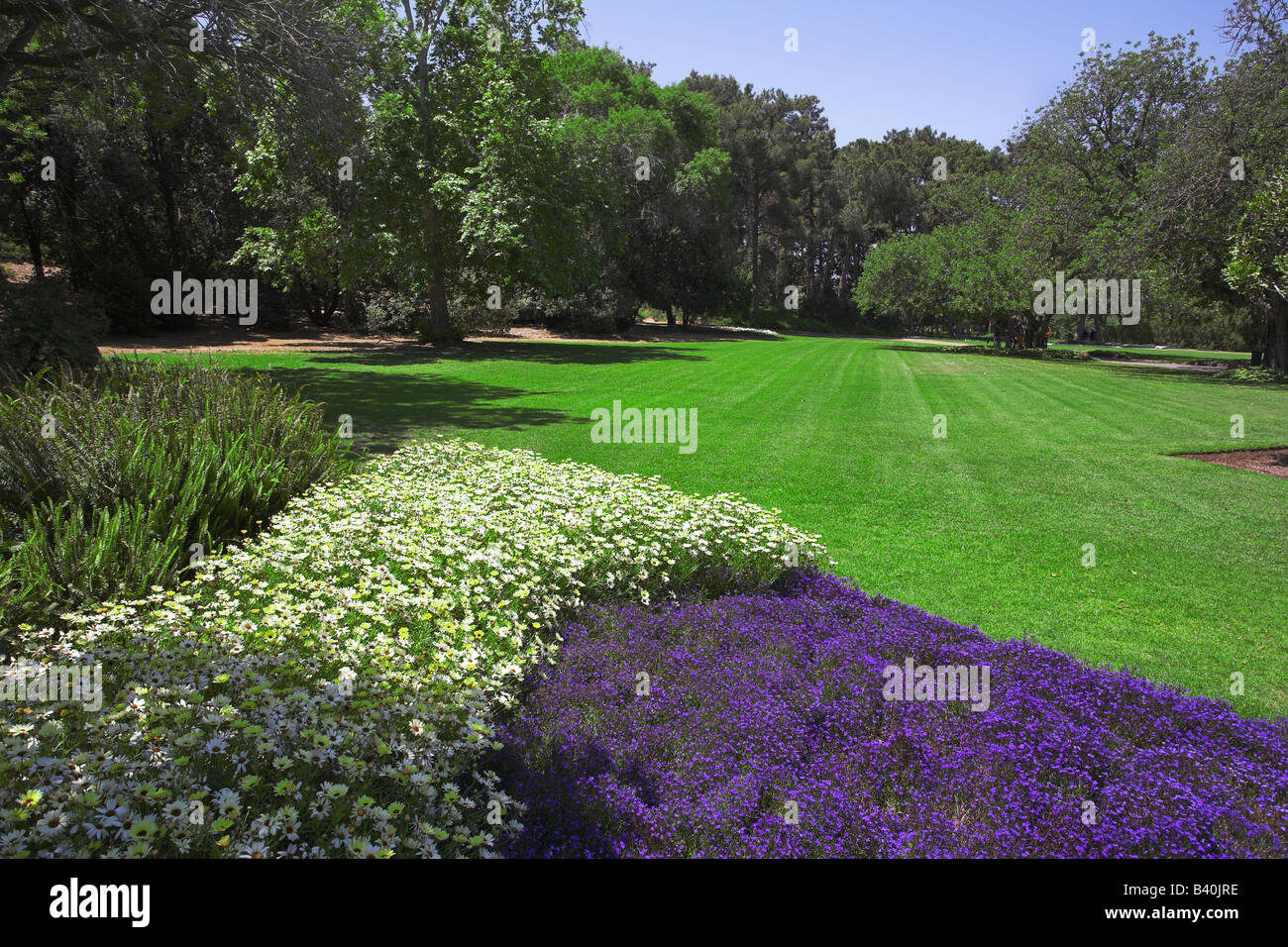 Fine spring day in southern park with green lawns and bright flower ...