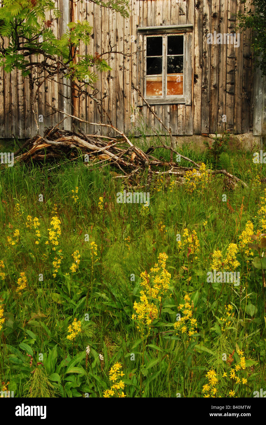 Old wooden house, Klippen, Vasterbottenslan, Swedish Lapland, Sweden. Stock Photo