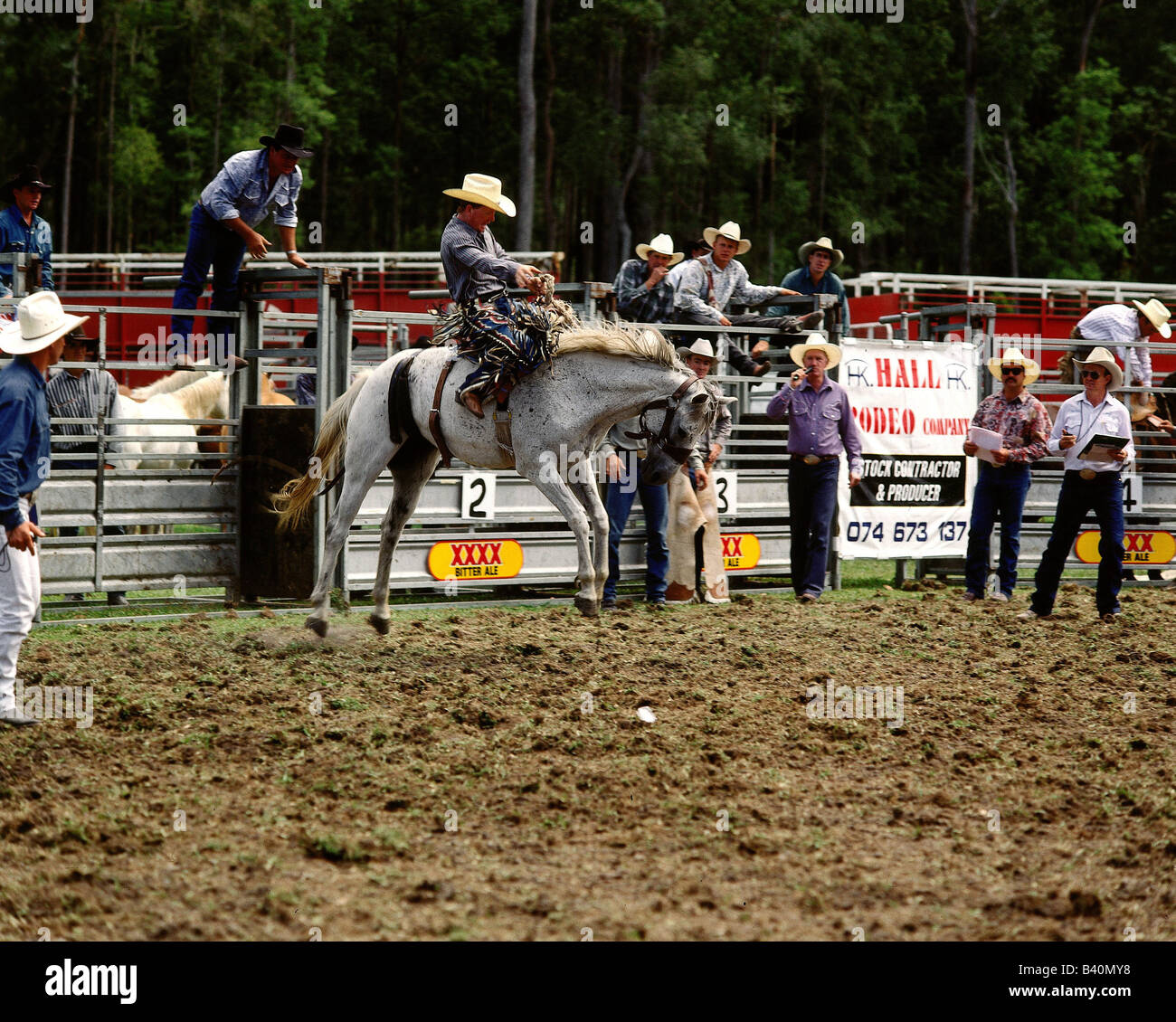 To ride wild horse without saddle at australian rodeo hires stock photography and images Alamy