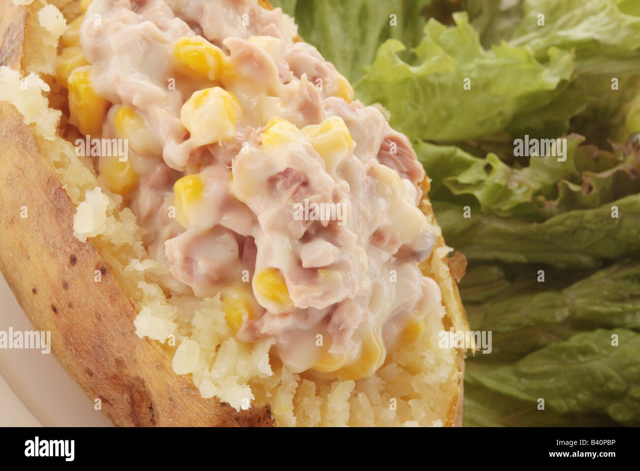 Jacket Potato with Tuna Mayonnaise with Salad Stock Photo Alamy