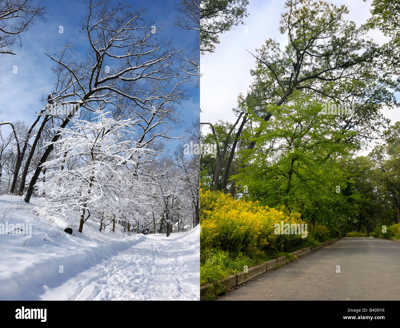 Winter and Summer Stock Photo - Alamy