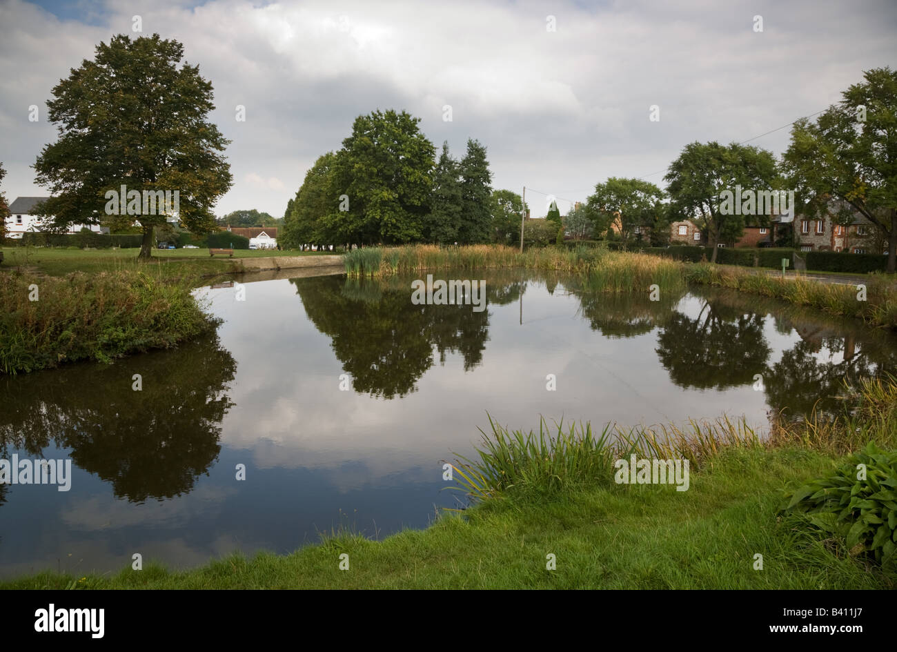 A typical English village pond on a village green in Penn, Bucks