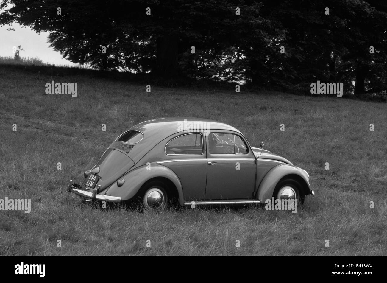 Volkswagen Beetle 1200 of 1955. car auto classic retro Stock Photo
