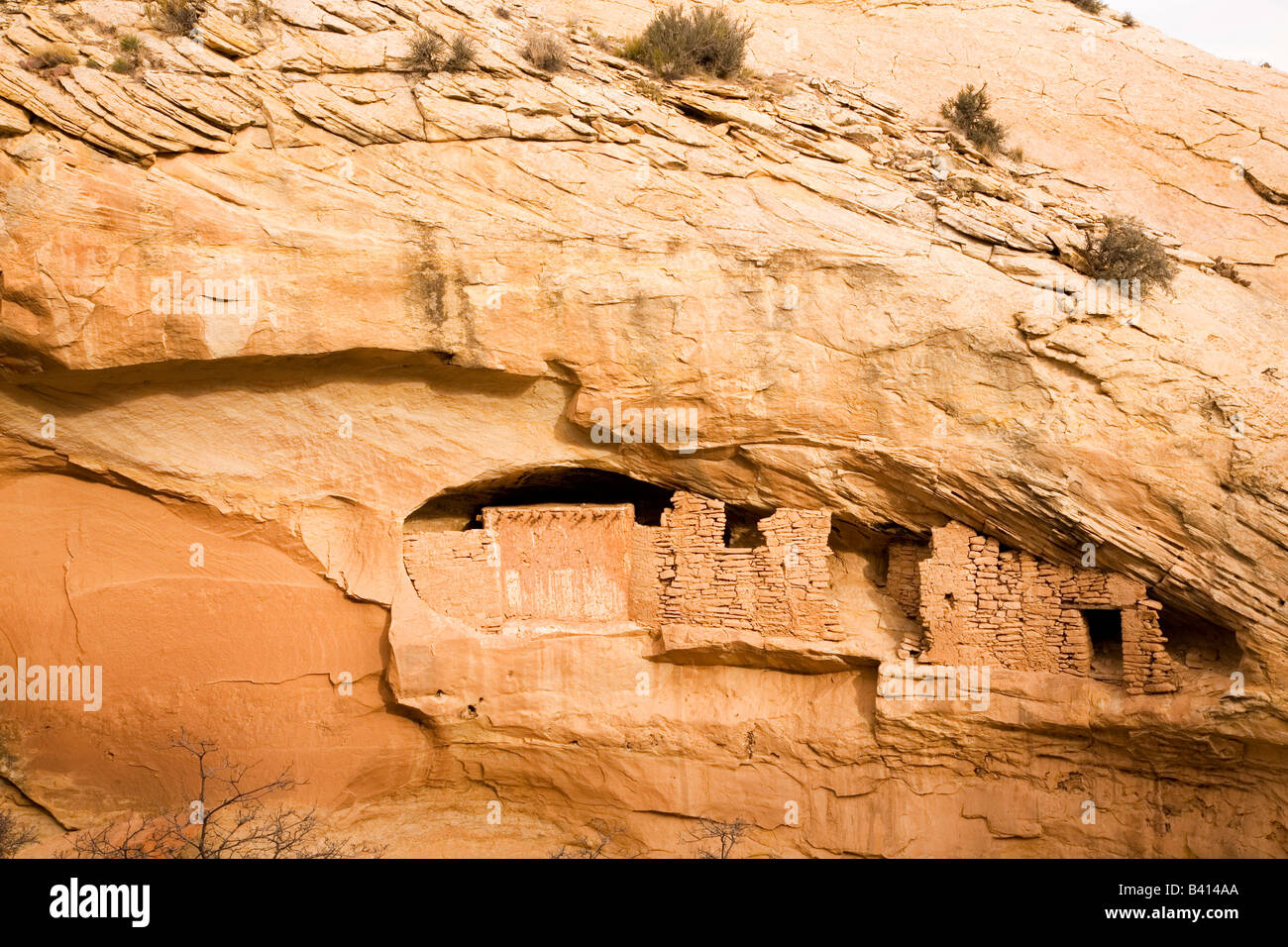 Anasazi cliff dwelling ruin near Blanding, Utah Stock Photo Alamy