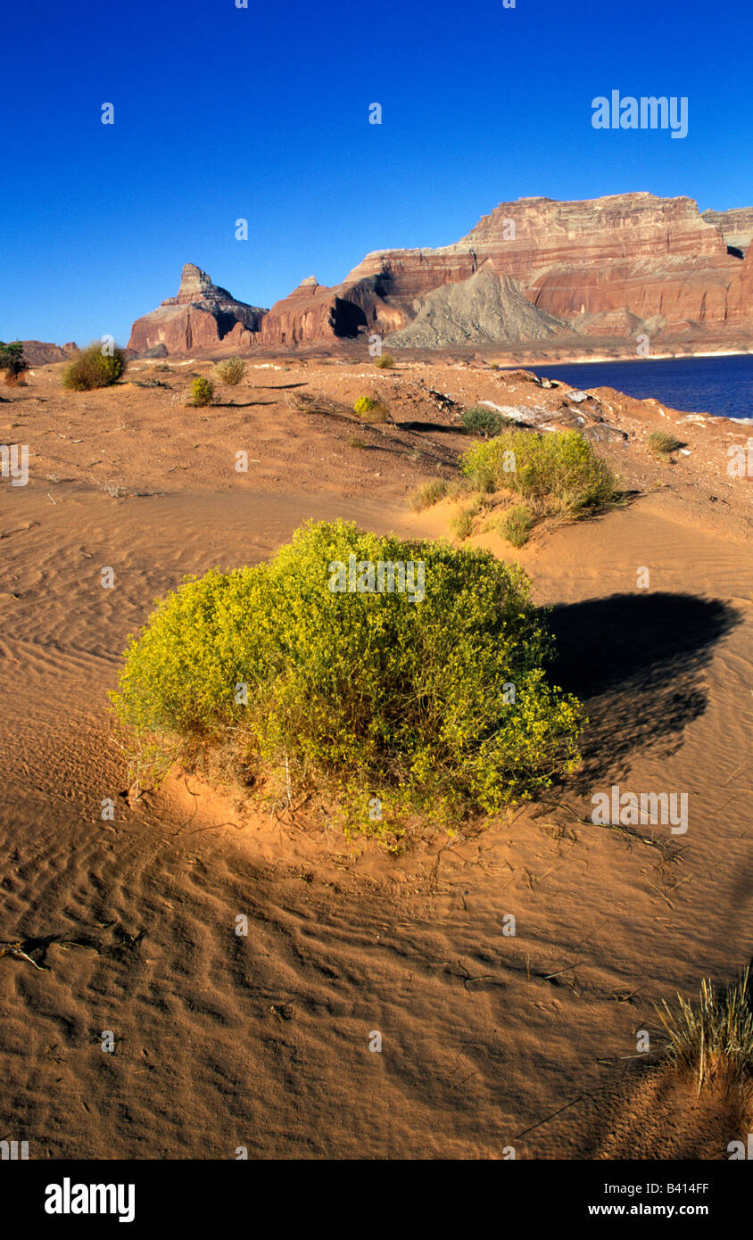 North America, United States, Utah, Lake Powell. Drought red rocks. Stock Photo