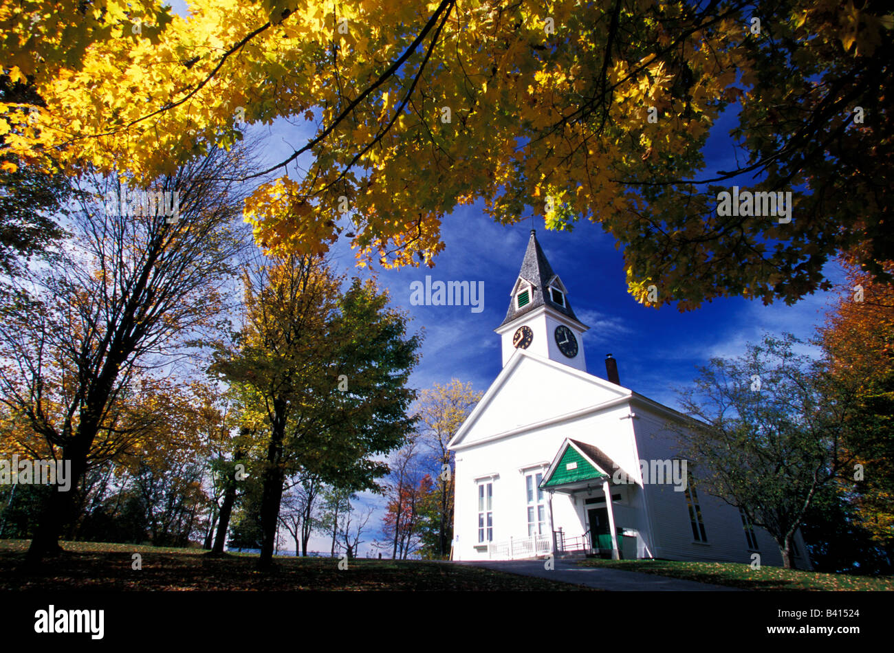 North America, United States, Vermont. White church with fall maple trees. Stock Photo