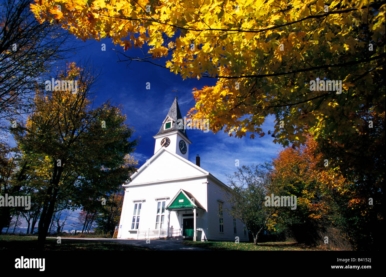North America, United States, Vermont. Fall maple trees. Stock Photo