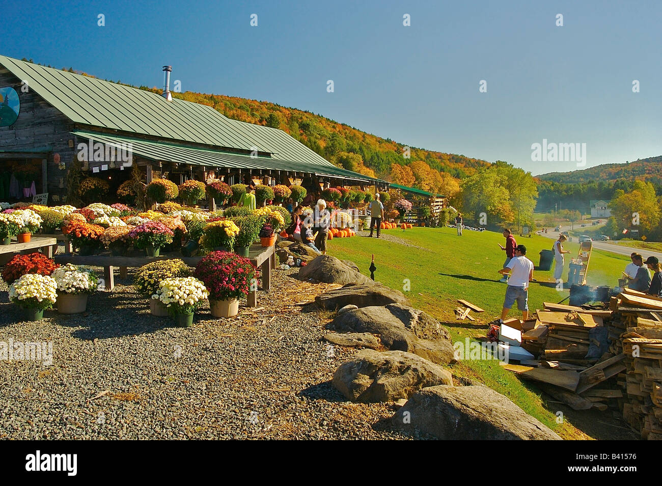 North America, USA, Vermont, Quechee. Colorful flowers and brilliant ...