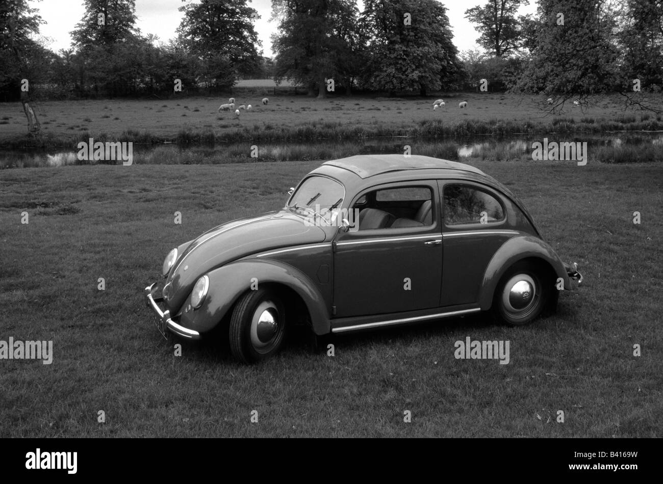 Volkswagen Beetle of 1951. car auto classic  cool Stock Photo