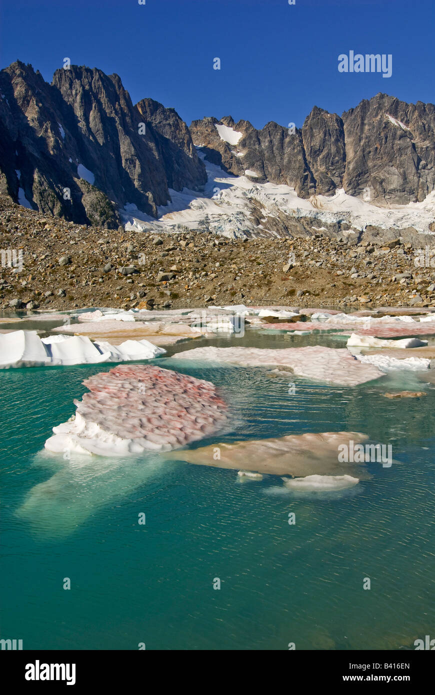 USA, Washington, North Cascades Nat'l Park. Icebergs at Lunas Lake in