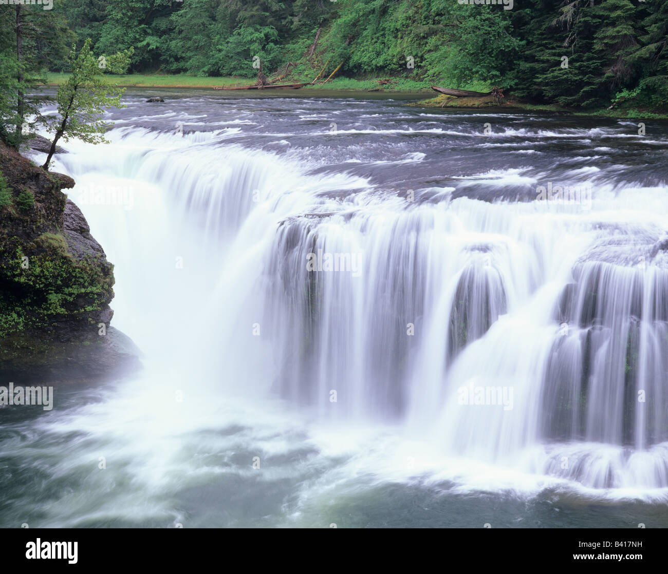 WA, Gifford Pinchot National Forest, Lower Lewis Falls, the Lewis River ...