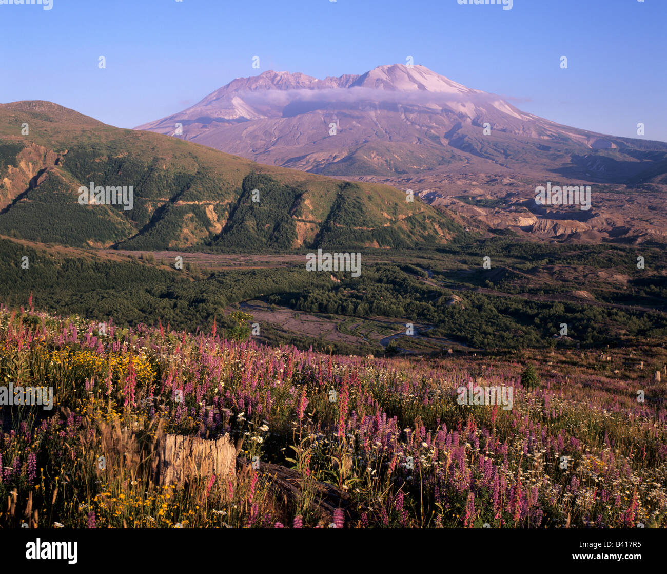 WA, Mt. St. Helens National Volcanic Monument, Mt. St. Helens, view ...