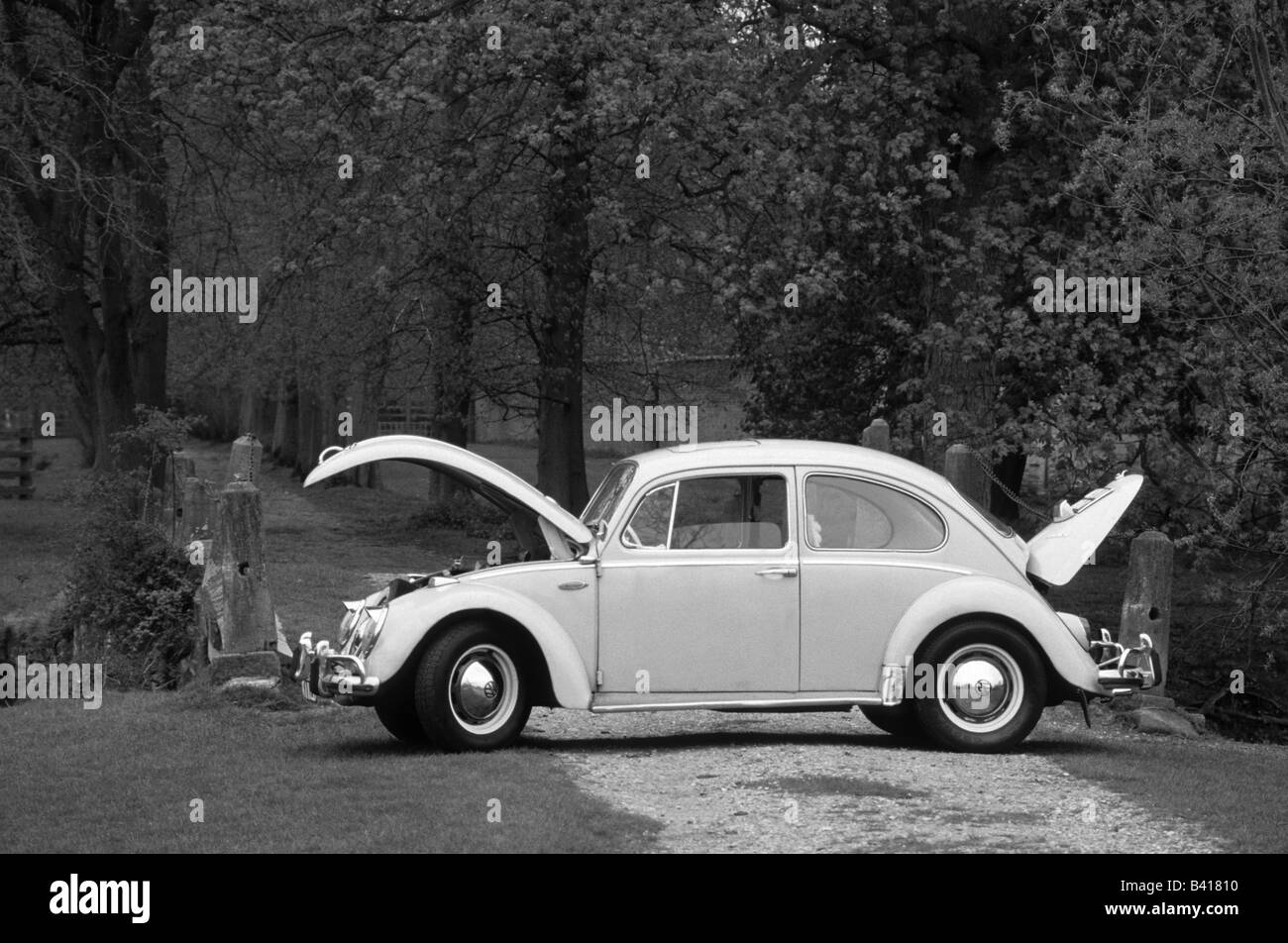 Volkswagen Beetle. car auto classic cool iconic Stock Photo