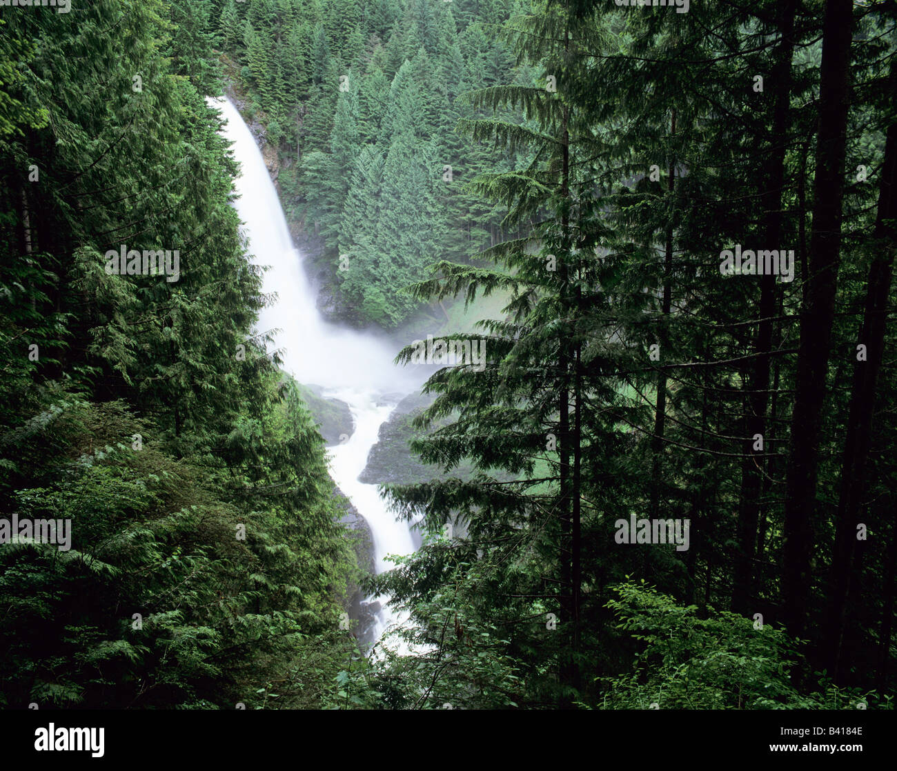 WA, Wallace Falls SP, Wallace Falls, Wallace River drops 250 feet at