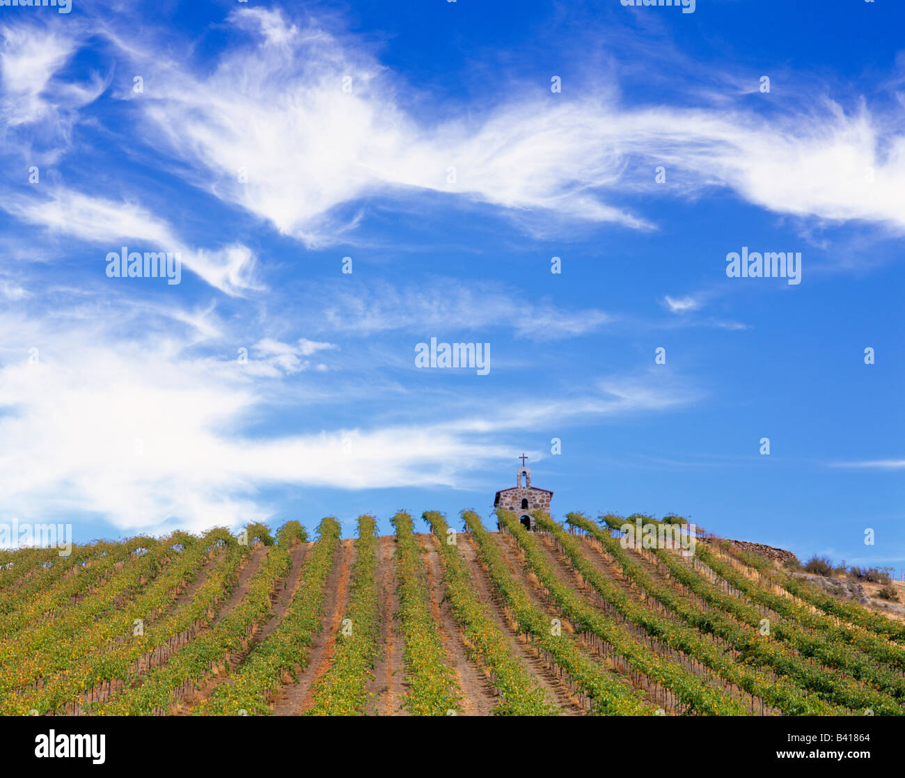 Yakima valley red willow vineyard hires stock photography and images