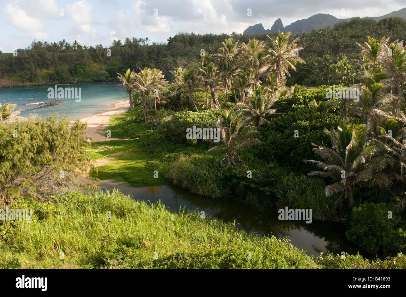 Papaa Bay Kauai Hawaii Stock Photo Alamy