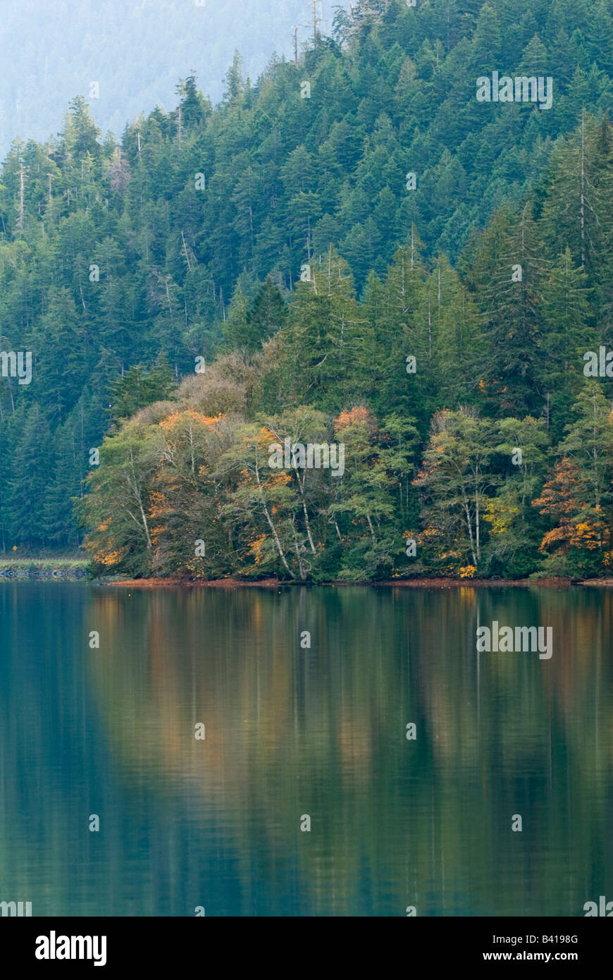 USA, WA. Olympic National Park, Lake Crescent. Serene glassy calm in glacier carved lake. Stock Photo