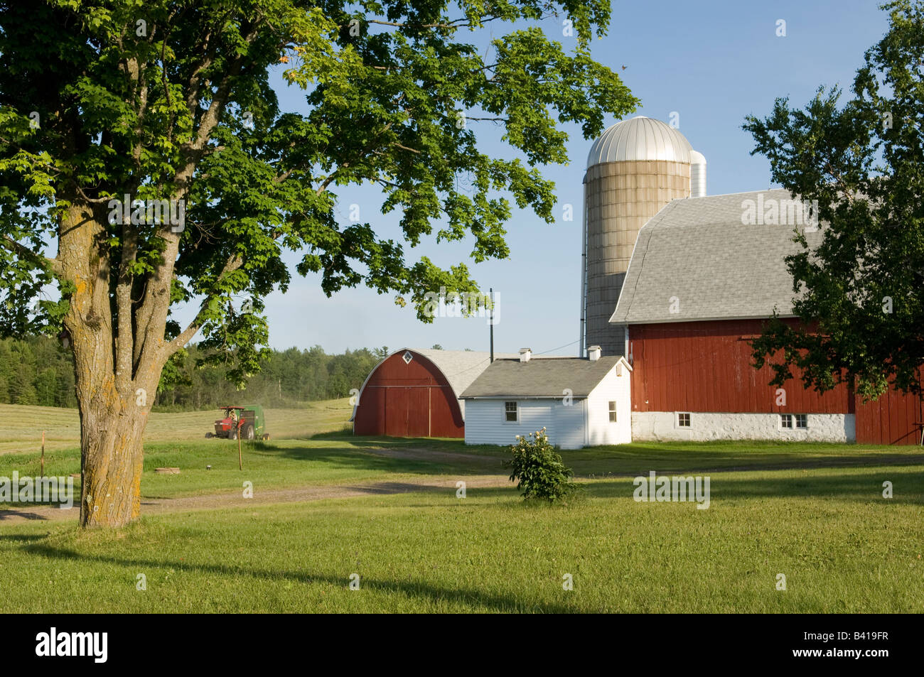 Wudi Farm, Greenwood, Wisconsin Stock Photo