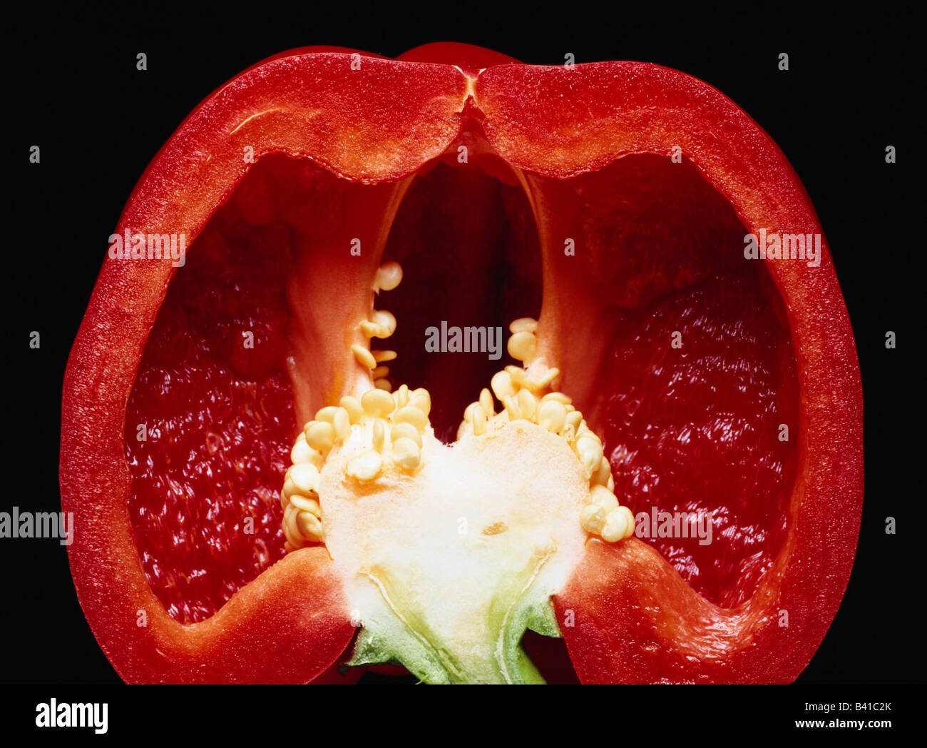 botany, vegetable, sweet pepper, (Capsicum), red, halved, cross section, close-up, close up, Solanaceae, Stock Photo