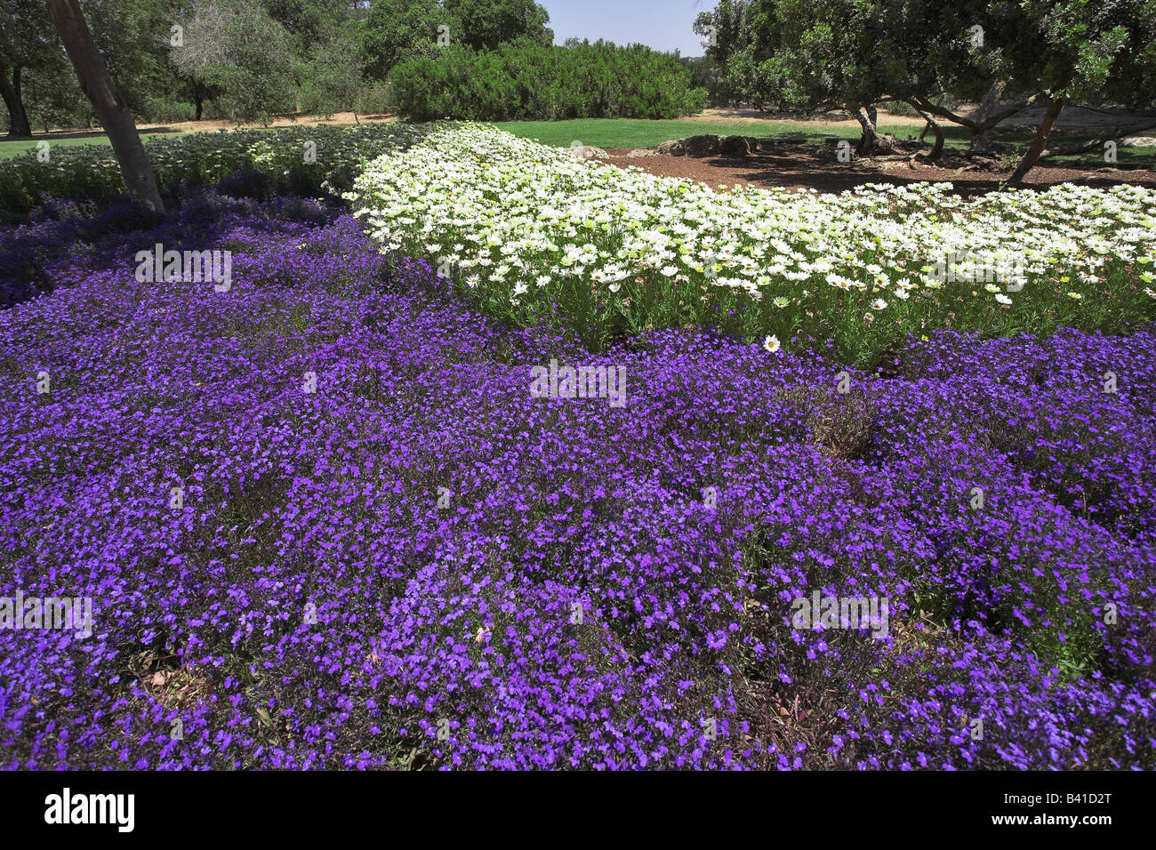 Fine spring day in southern park with green lawns and bright flower ...
