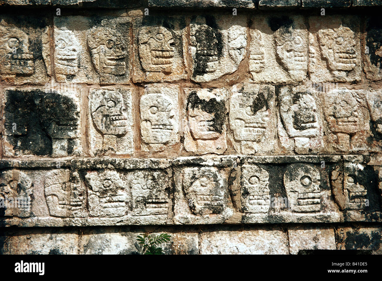 geography / travel, Mexico, Chichen Itza, Maya town 5th century, founded 7th - 10th century, built in Puuc style, populated by Toltecs, toltec, wall, relief, skull, architecture, art, America, Maya, religion, UNESCO World Heritage Site, Yukatan, Central America Latin-American, Indians, historical, historic, ancient, stones,  CEAM, 20th century, Stock Photo