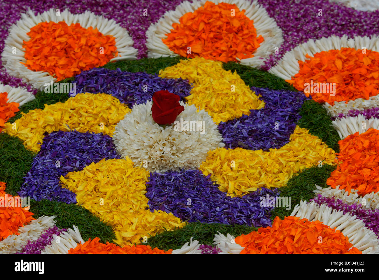 Floral Art Pookklalam Of Kerala India Stock Photo Alamy