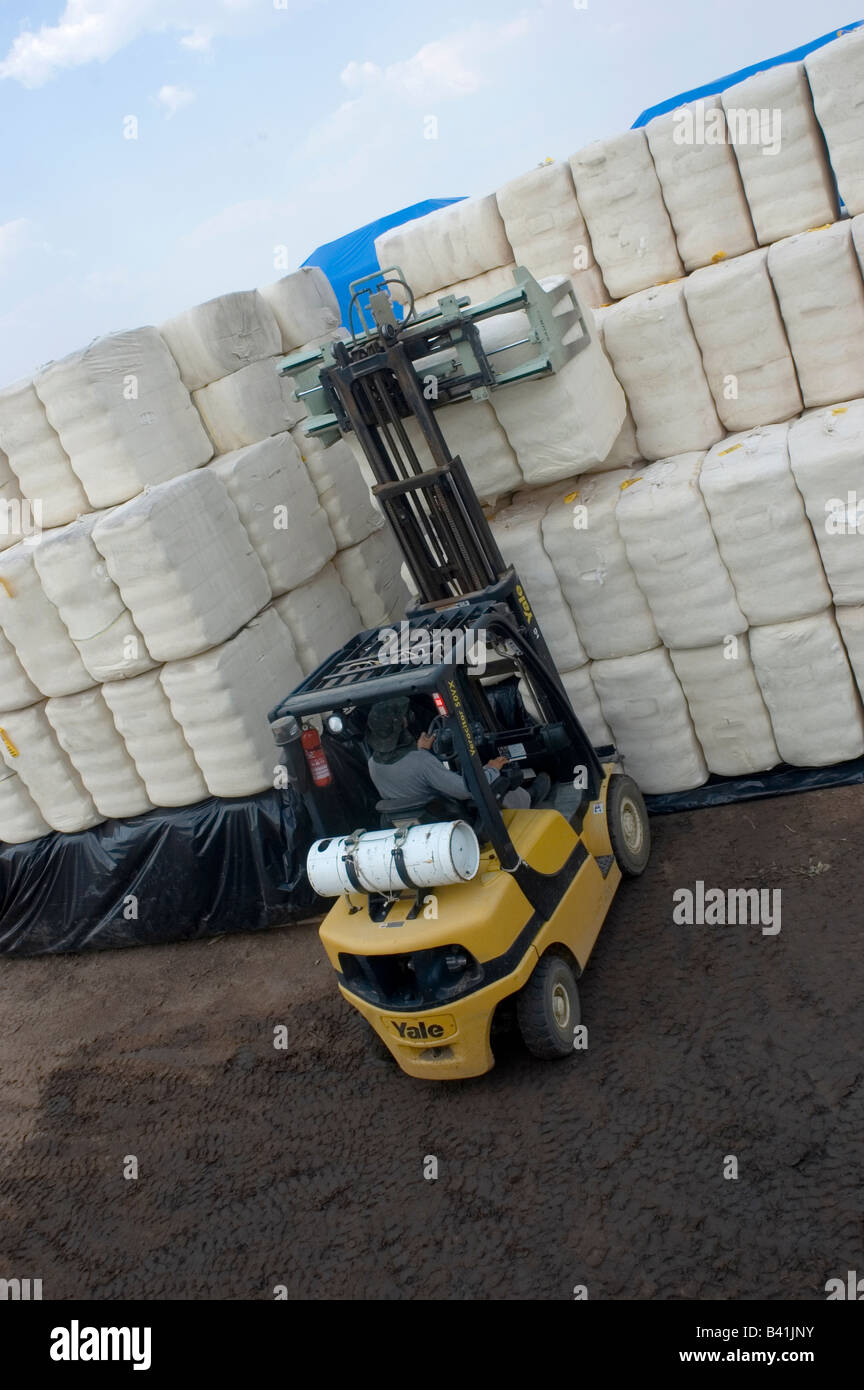 storage of cotton Stock Photo Alamy