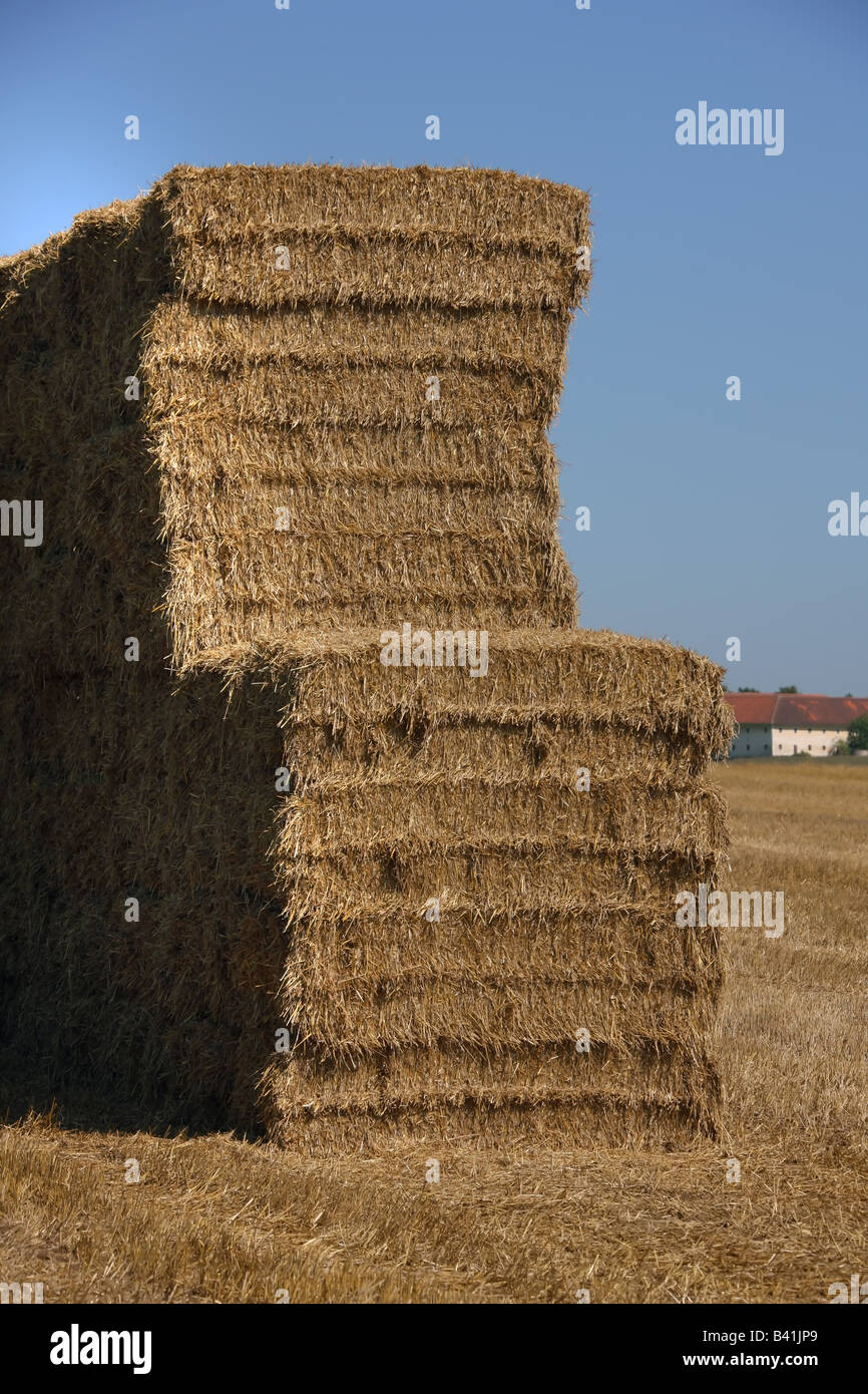 bale of straw Stock Photo Alamy