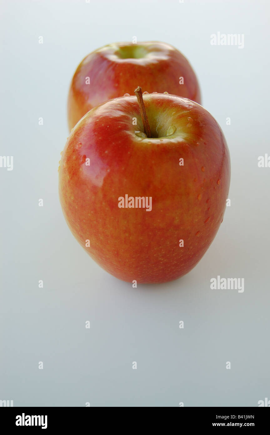 Pair of Honey Crisp Apples grown in Michigan, USA Stock Photo Alamy