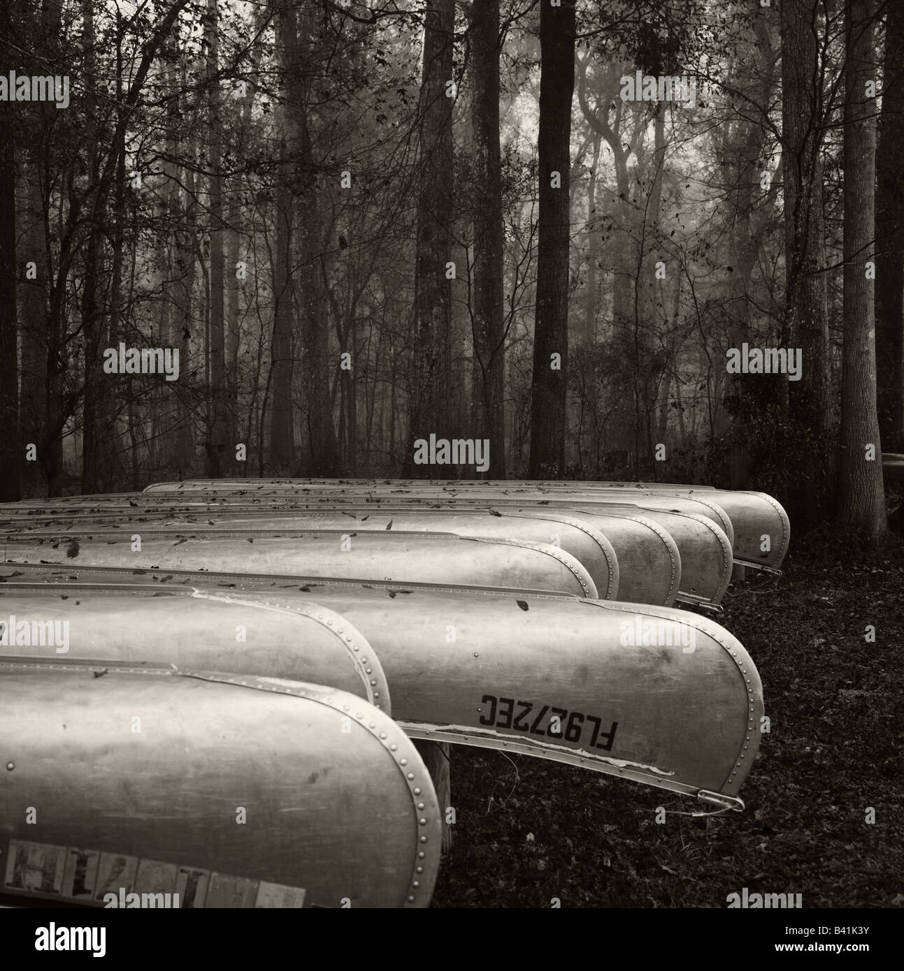 A line of canoes at Ginnie Springs, Florida. Stock Photo