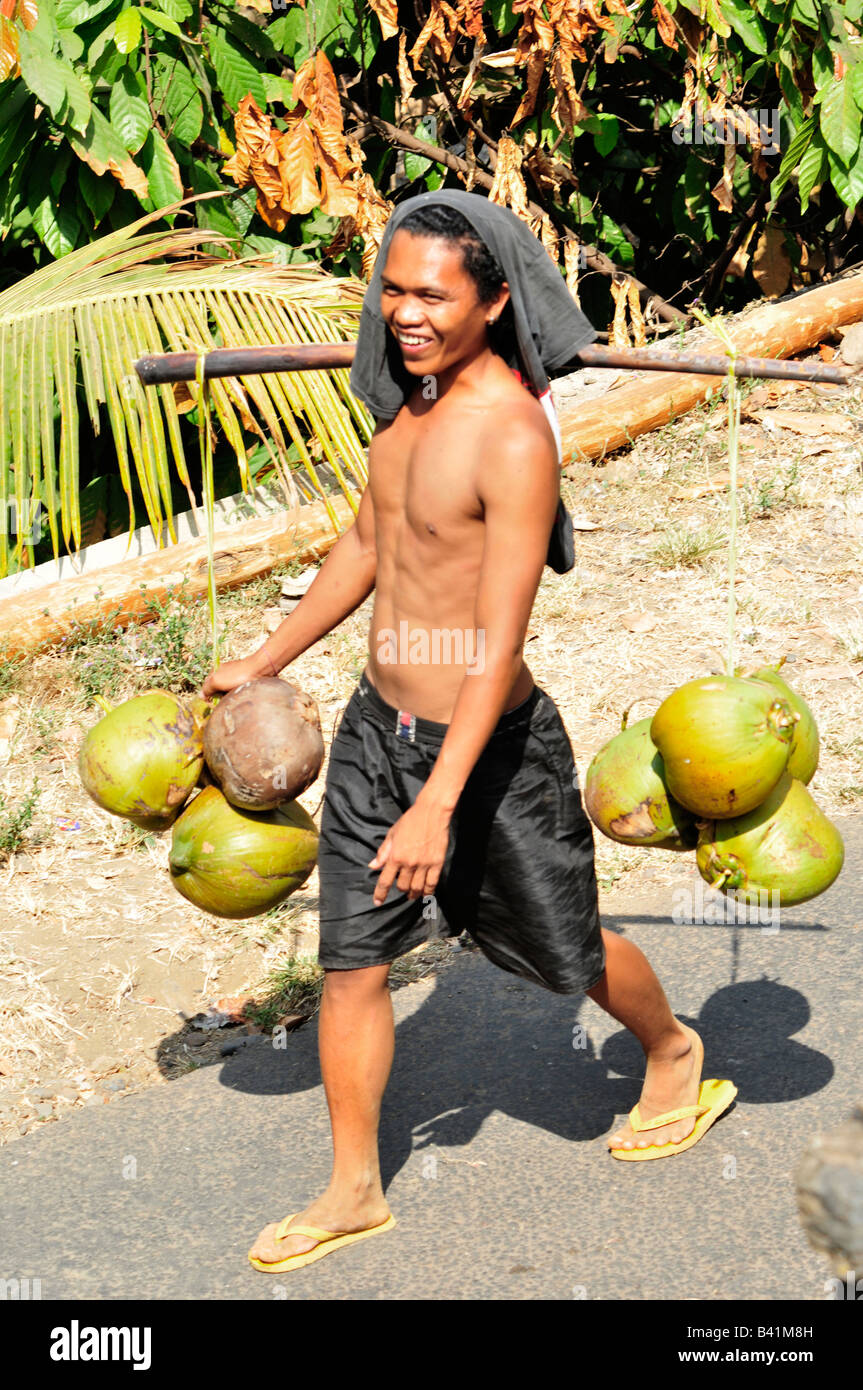 man carrying coconuts, bali aga village life, semberan , north bali , indonesia Stock Photo