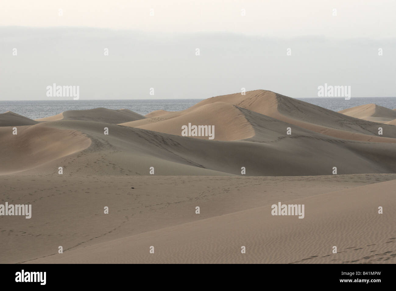 Sand dunes at Maspalomas a 250 hectare natural reserve sculpted by the