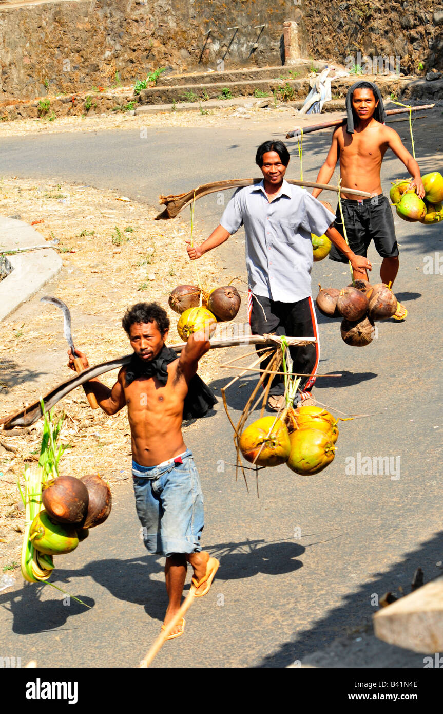 bali aga village life, men returning from fields with coconuts , bali aga village life, semberan , north bali , indonesia Stock Photo