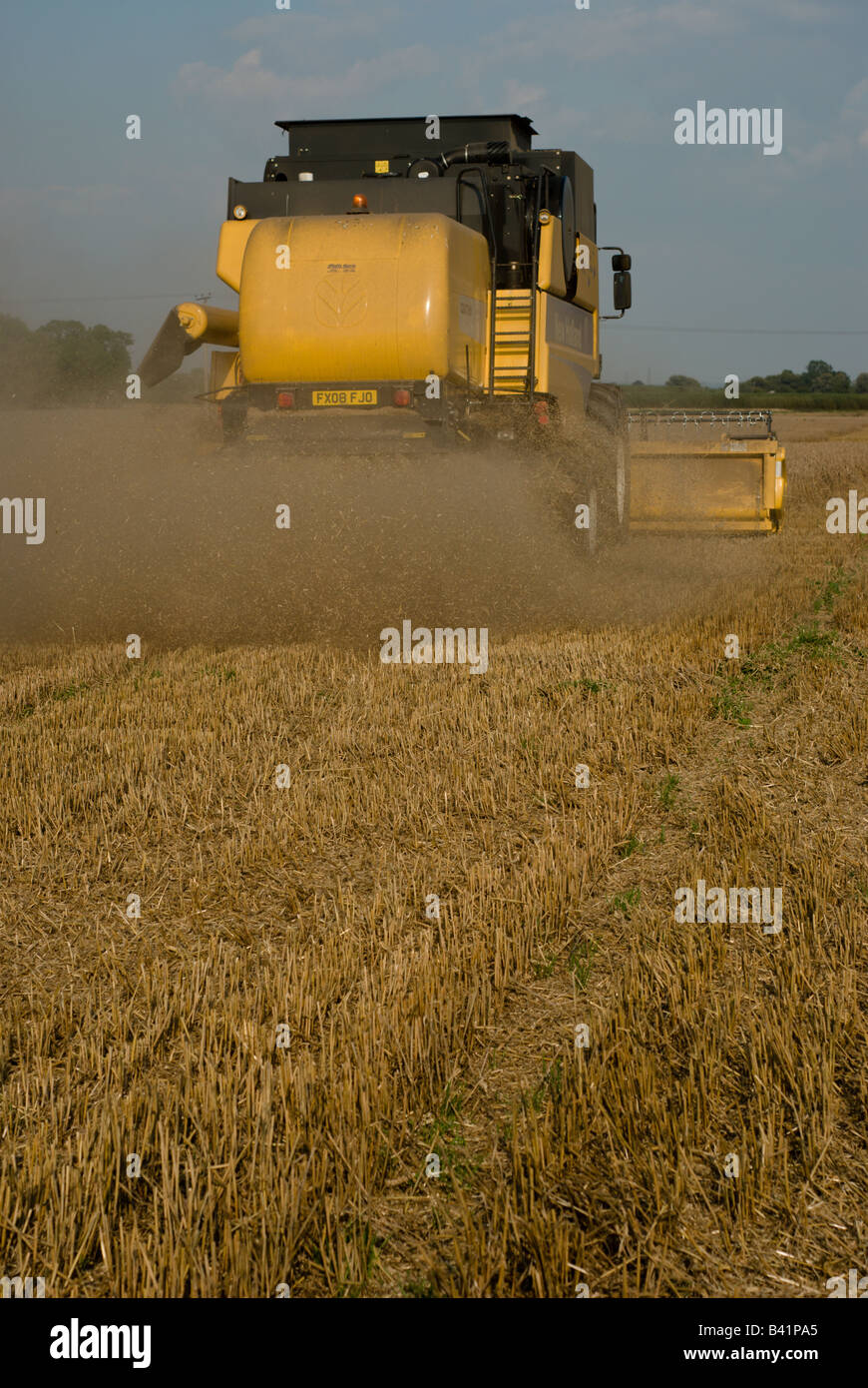 Combine harvester harvesting field of wheat Stock Photo - Alamy